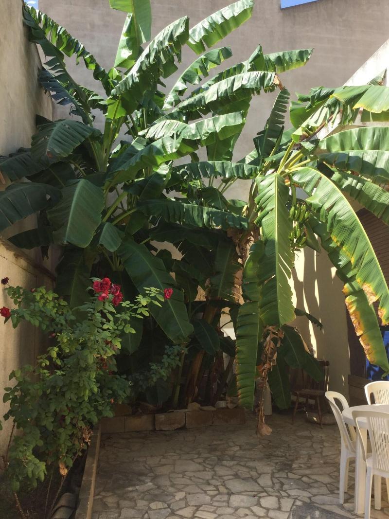 Bed and Breakfast U' Iazzu Avola Esterno foto