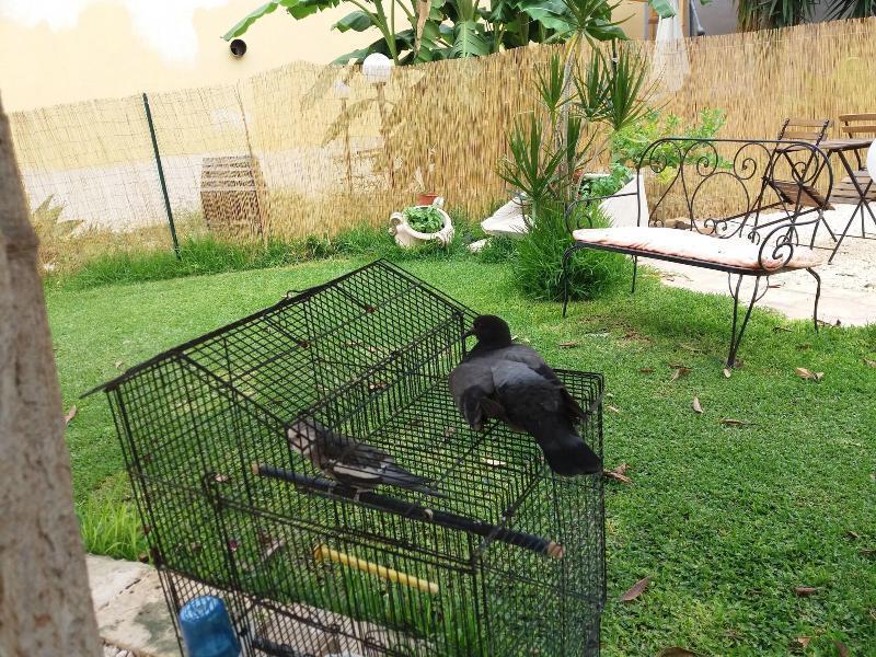 Bed and Breakfast U' Iazzu Avola Esterno foto