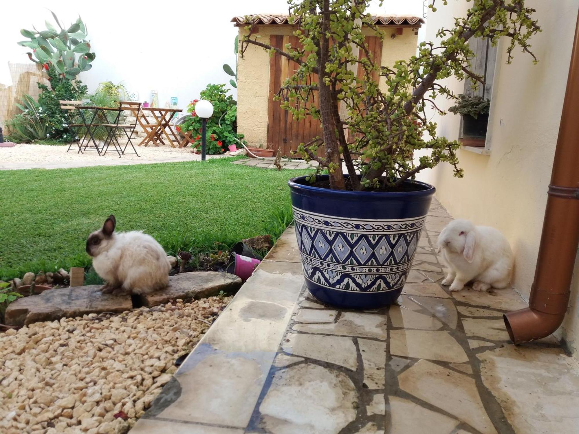 Bed and Breakfast U' Iazzu Avola Esterno foto