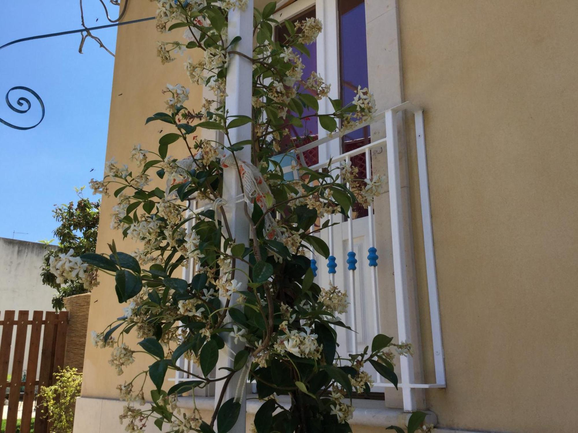 Bed and Breakfast U' Iazzu Avola Esterno foto